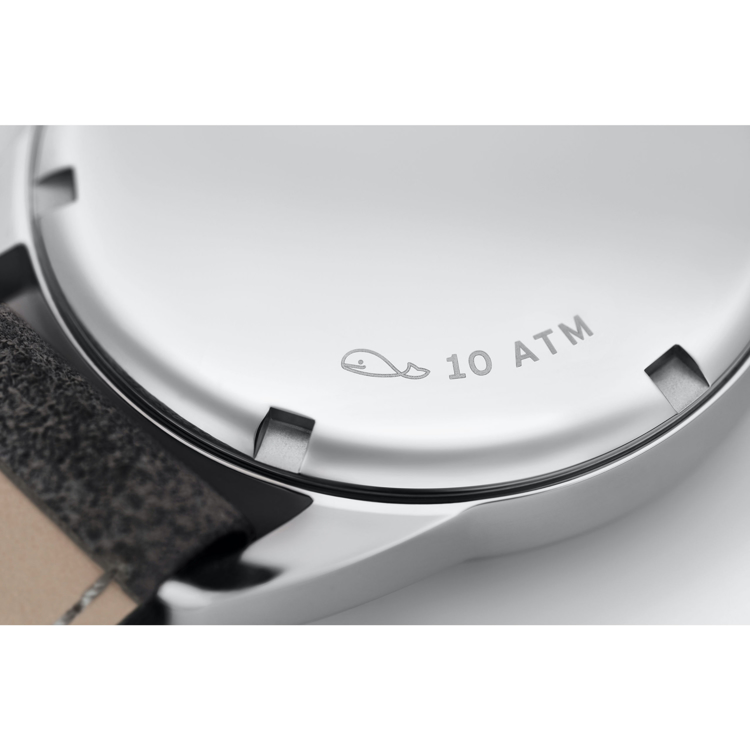 نوموس کلاب 38mm-آبی‌بنفش-کوکی - نمای پشت قاب