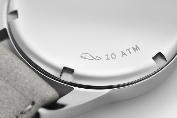 نوموس کلاب 36mm-آبی-کوکی - جزئیات پشت قاب